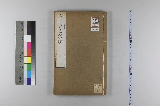 Nanhe Cheng'an: 54 volumes, 4 volumes of preface, 1 volume of index, 106 volumes of continuation, and 38 volumes of further continuation [119]
