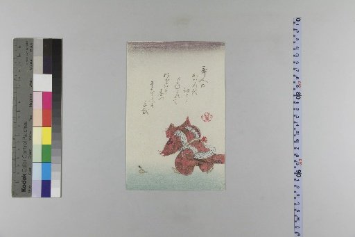 [Ansei Year 4 Large and Small Calendar]