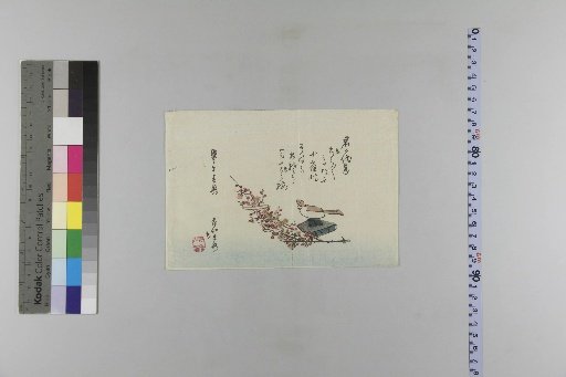 Spring of the Year of the Horse (Bōgo)