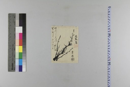 Kan'ei Year 5 Large and Small Calendar