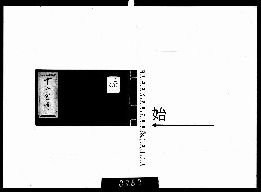 Transmission of the Twelve Palaces