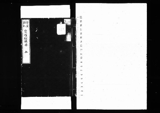 Essentials of the Su Yao Sutra