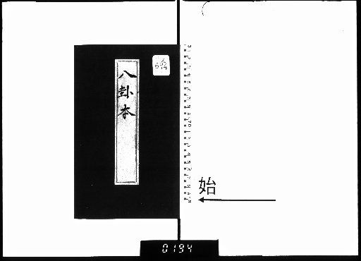 Bagua Book