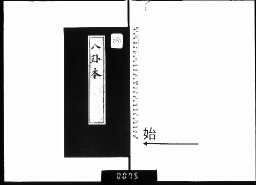 Bagua Book