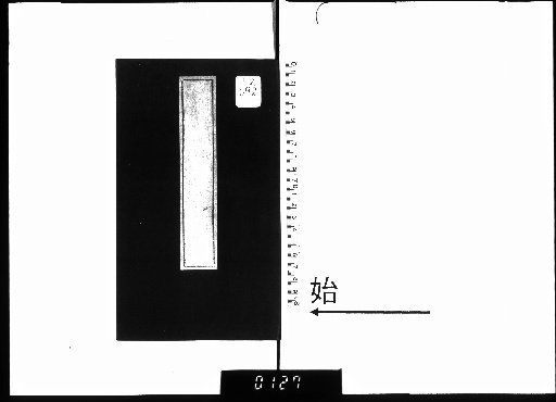 Bagua Book