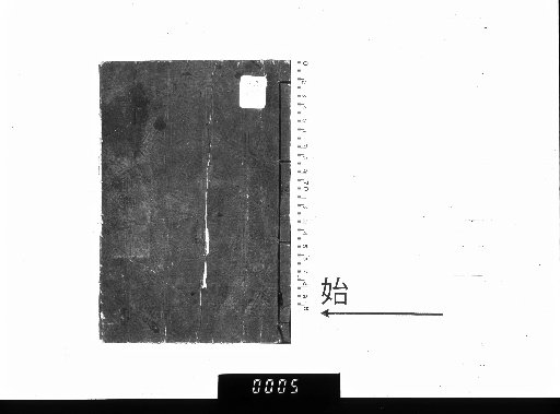 The Great Treasure Book of All Treasures: Three Lives Physiognomy