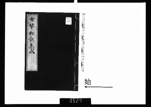 Collection of Secret Techniques of the Precious Mirror of Directions