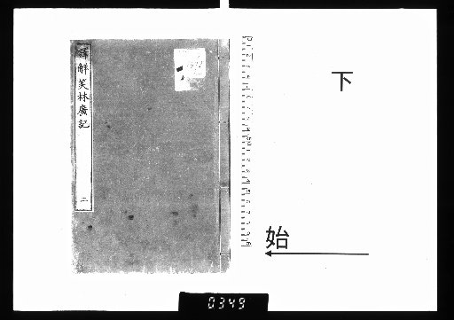 Translated and Explained Laughing Forest: Broad Records, 2 Volumes, Lower