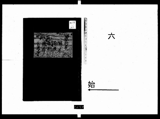 Yōshō: 10 Volumes [6]