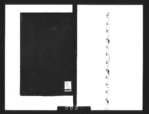 Rhyme Mirror Notes