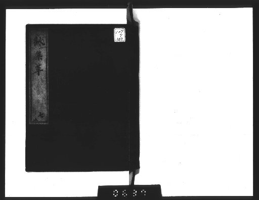 Collection of Poems, Grass [7]