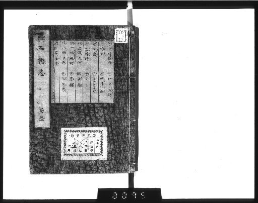 Miscellaneous Notes on Swallow Stones, 5 volumes [3]
