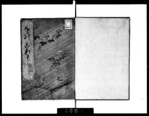 Omii, 2 volumes