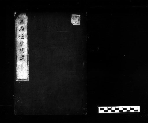 Supplement to the Three Kingdoms Comprehensive History