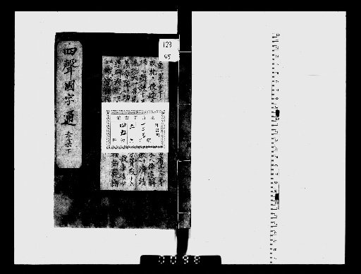 General Guide to Four Tones in Japanese Characters [4]