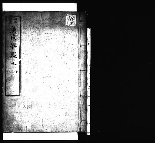 Seisai Zatsuki and Zatsuzui, Volume 74 (Kō-ki Zatsuzui 9-10)