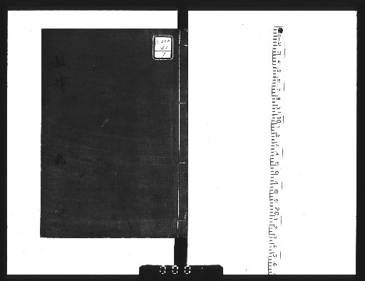 Amnesties and Laws [1]