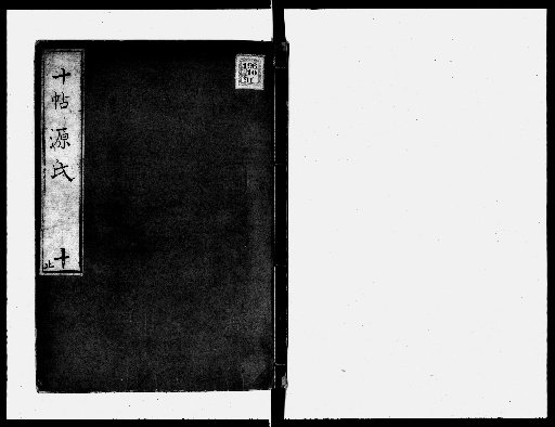Ten Scrolls of the Tale of Genji [10]