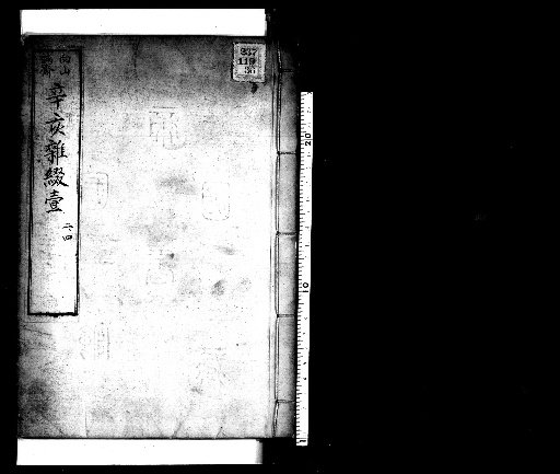 Seisai Zatsuki and Zatsuzui, Vol. 85 (Xinhai Zatsuzui 1-4)
