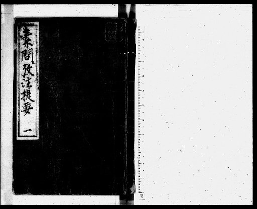 Examination and Annotations of the Suwen, 20 volumes; Outline 1 volume [1]