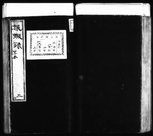 Record of Shrimp Hunting [2]