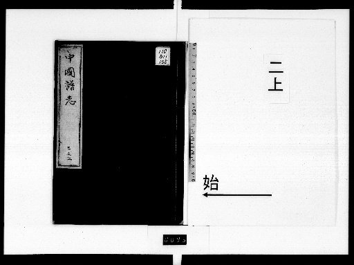 Chinese Genealogical Records, Part 2, Volume 1