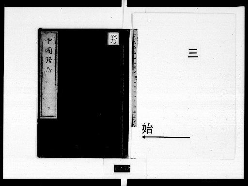 Chinese Genealogical Records, Volume 3