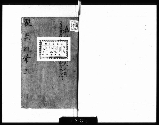 Random Notes from the Nest of the Blackbird [7]