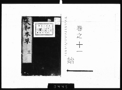 Japanese Materia Medica, 16 Volumes with 2 Appendix Volumes and 3 Volumes of Illustrations [11]