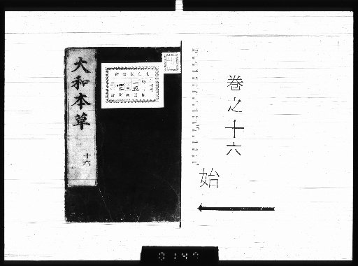 Honcho Yōsō, 16 volumes, 2 volumes appendix, 3 volumes illustrations of various items [16]