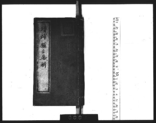 Supplement to the Explanation of the Essential Characters