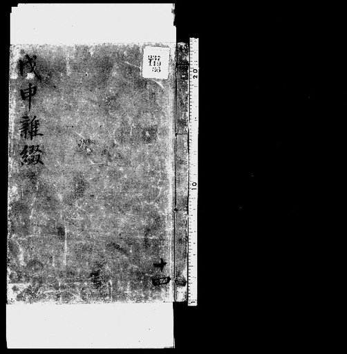 Seisai Zatsuki and Zatsuzui, Volume 45 (Jinshin Zatsuki 14)