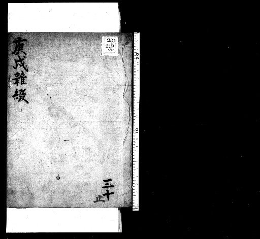 Seisai Zatsuki and Zatsuzui, Volume 84 (Kōshū Zatsuzui 30)