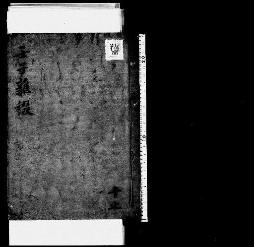 Seisai Zatsuki and Zatsuzui, Volume 96 (Ranshi Zatsuzui 10)