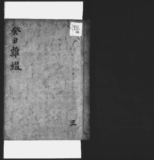 Seisai Zatsuki and Zatsuzui, Volume 99 (Kichu Zatsuzui 3)