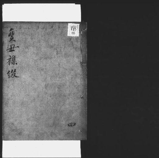 Seisai Zatsuki and Zatsuzui, Volume 100 (Kichu Zatsuzui 4)