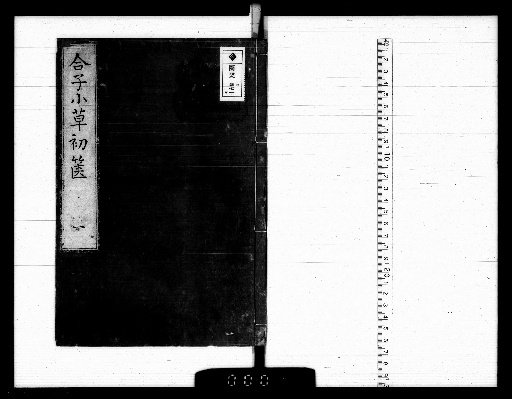 The Heishi Family Collection: Grass Drafts, First Basket, 6 vols. [1]