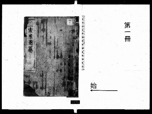 Compilation of Various Family Lineages [1]