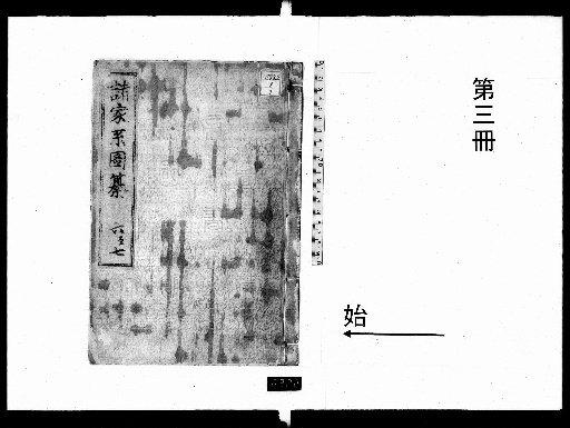 Compilation of Various Family Trees [3]