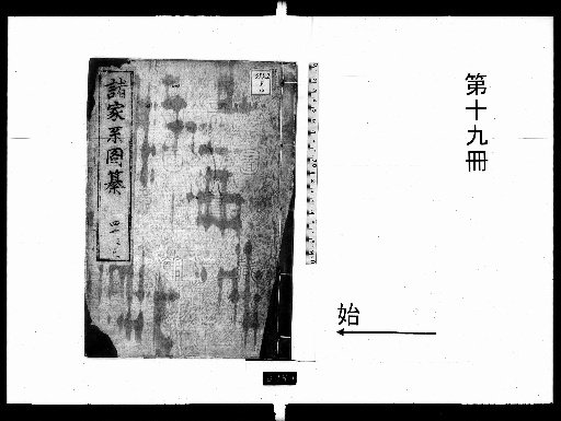 Compilation of Various Family Trees [19]