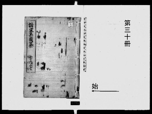 Compilation of Various Family Lineages [30]