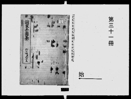 Compilation of Various Family Genealogies, Volume 31