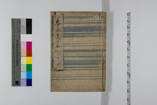 Spring Views, 10 volumes