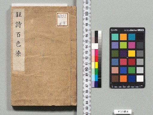 Kyōshi Hyakushoku Some