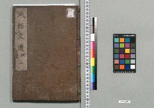 Selection of Customs and Literature : 10 Volumes [2]