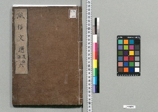 Selection of Customs and Literature: 10 Volumes [6]