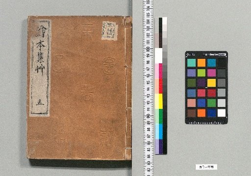 Illustrated Collection of Grasses [5]
