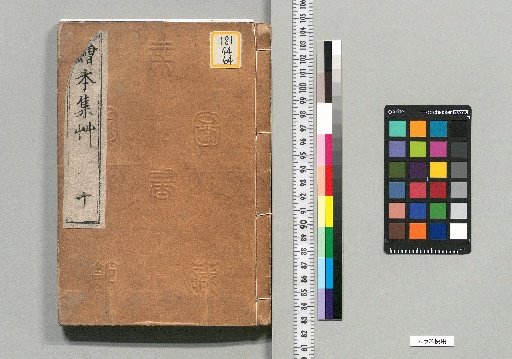 Illustrated Collection of Grasses [10]