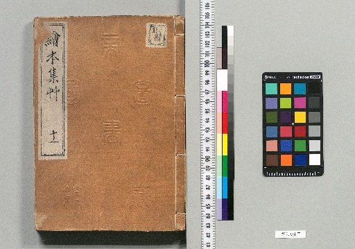 Collection of Picture Books: 11 volumes
