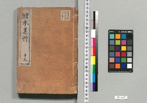 Illustrated Collection of Grass [15]